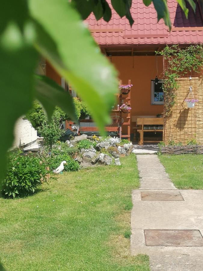 Studio Apartman Krosna Perusic Екстер'єр фото